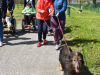 DSC_04031-Large