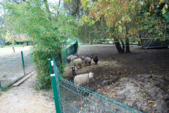 živalski park NA JASI